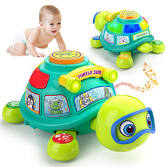 ToddlerCley musical turtle toy with bright lights and music to engage baby