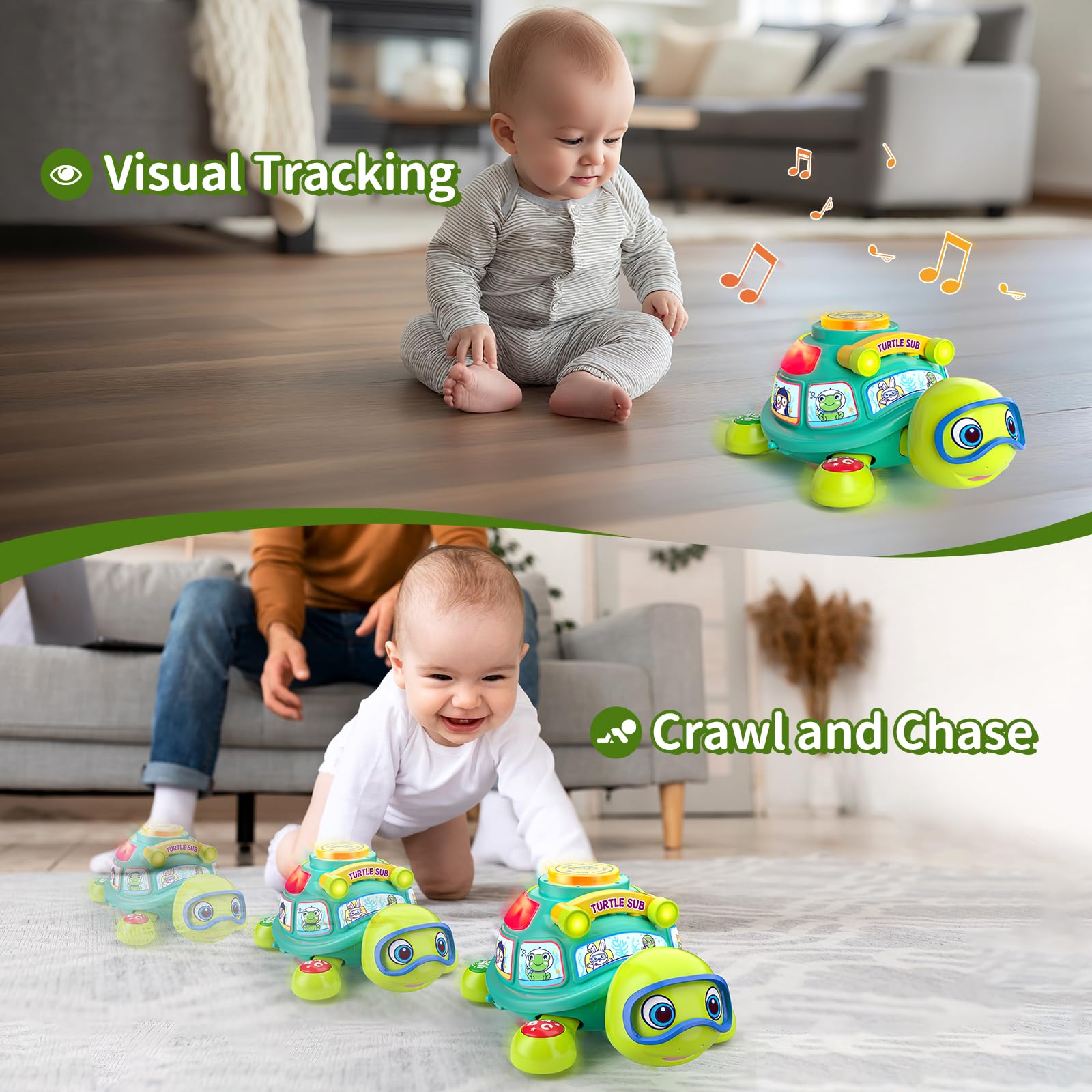 ToddlerCley musical turtle toy encourages crawling during tummy time