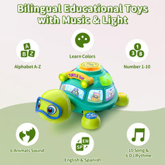 ToddlerCley musical turtle toy supports bilingual learning in English and Spanish