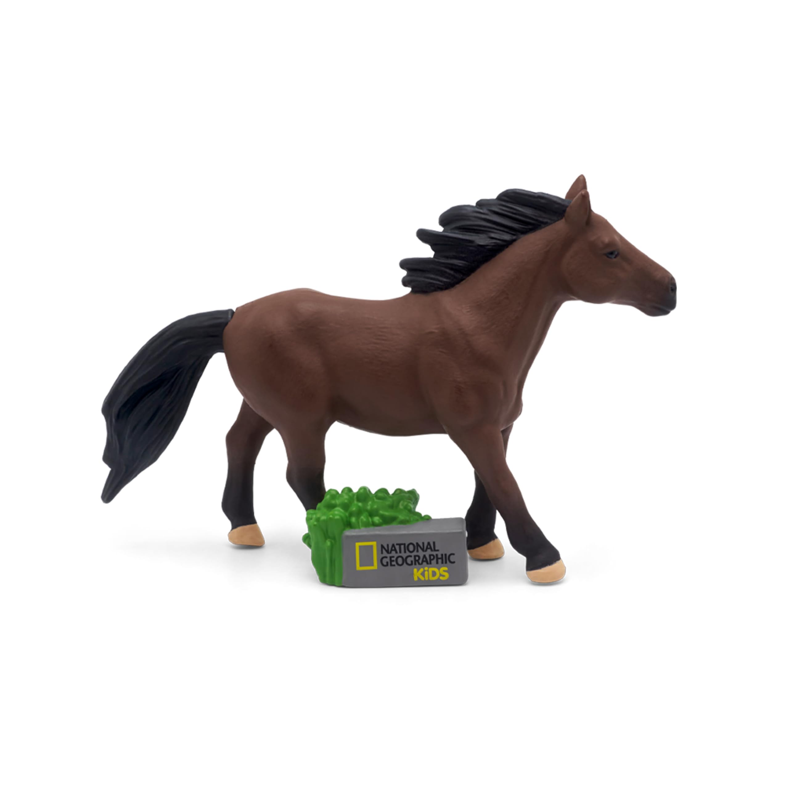 Tonies National Geographic horse care tips supports practical learning for young equestrian fans