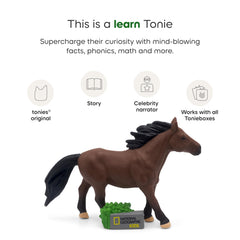 Tonies National Geographic horse history stories engages imagination with eight tale collection