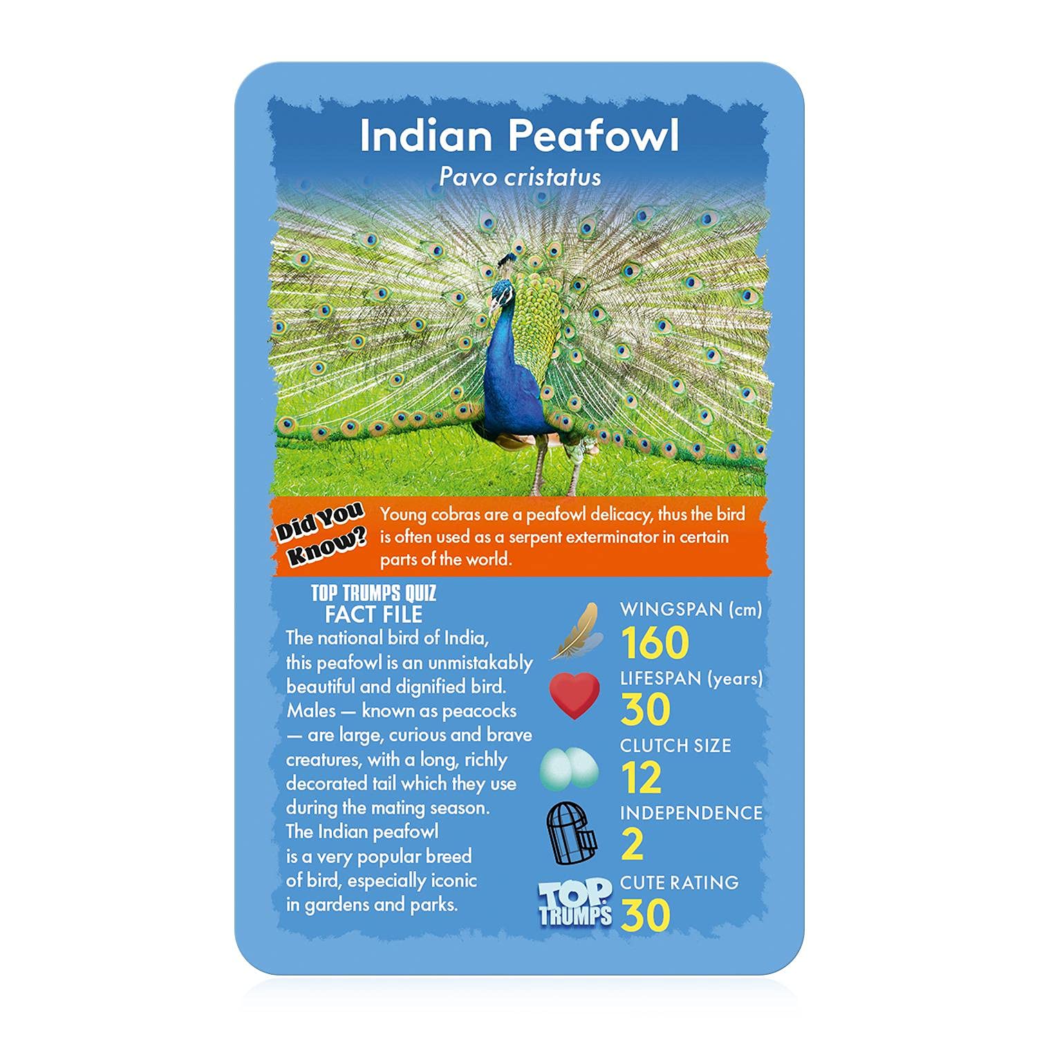 Top Trumps Birds of the World colorful bird photography image inspires curiosity and discussion