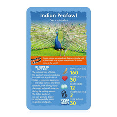 Top Trumps Birds of the World colorful bird photography image inspires curiosity and discussion