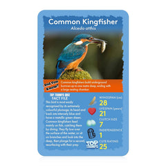 Top Trumps Birds of the World snowy owl lifespan image highlights longevity facts for reference
