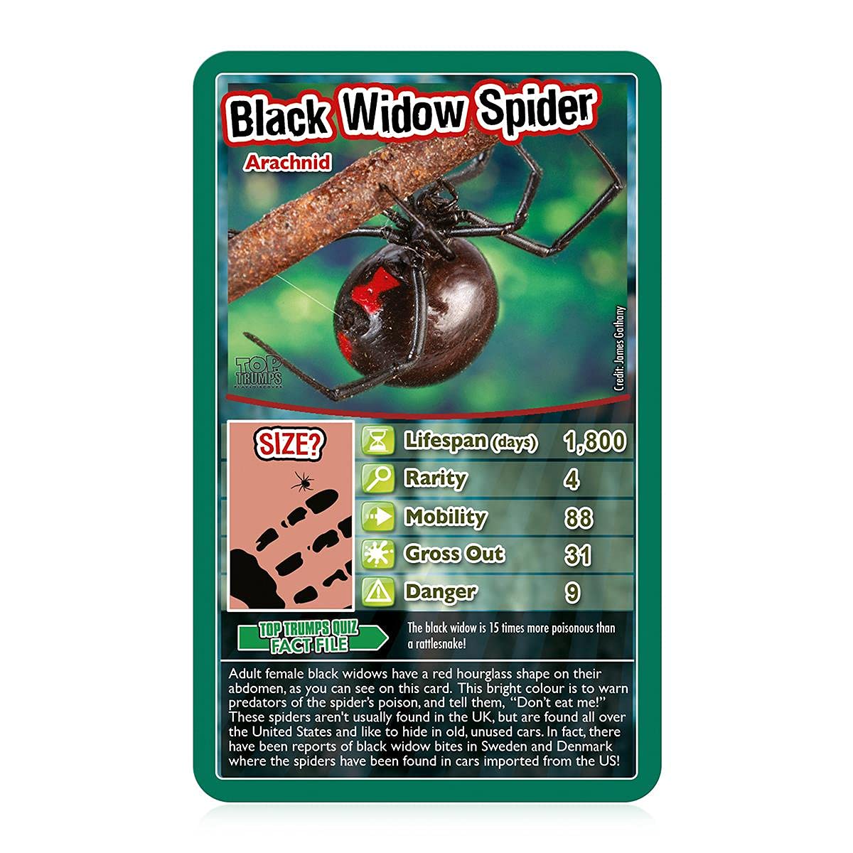 Top Trumps Bugs Classics tarantula card, showcases mobility and curiosity