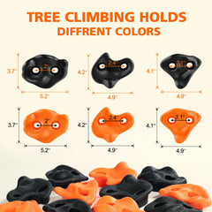Topnew ergonomic textured holds provide secure grip for kids during climbs.