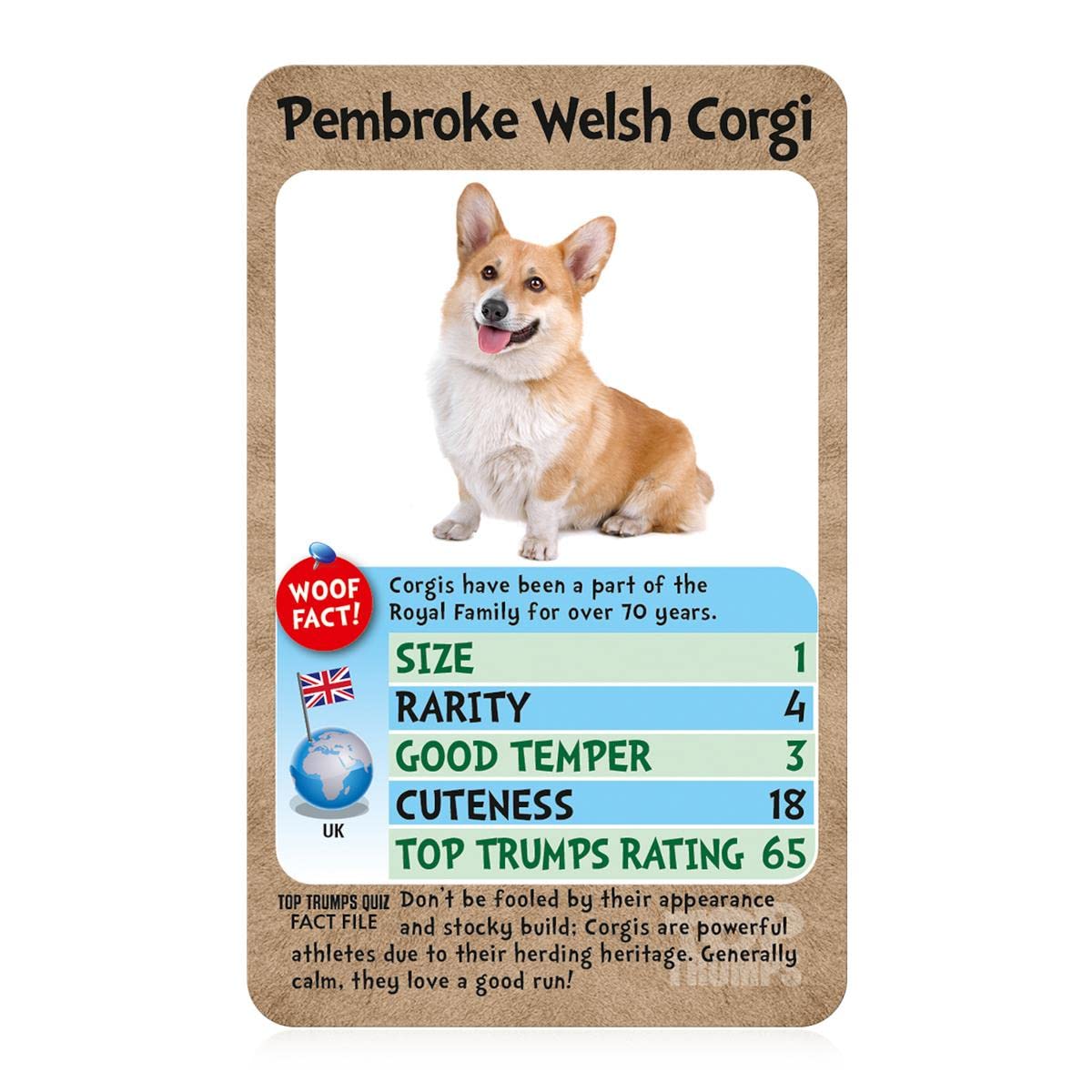 Top Trumps Dogs outdoors at park or beach with friends