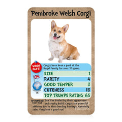 Top Trumps Dogs outdoors at park or beach with friends