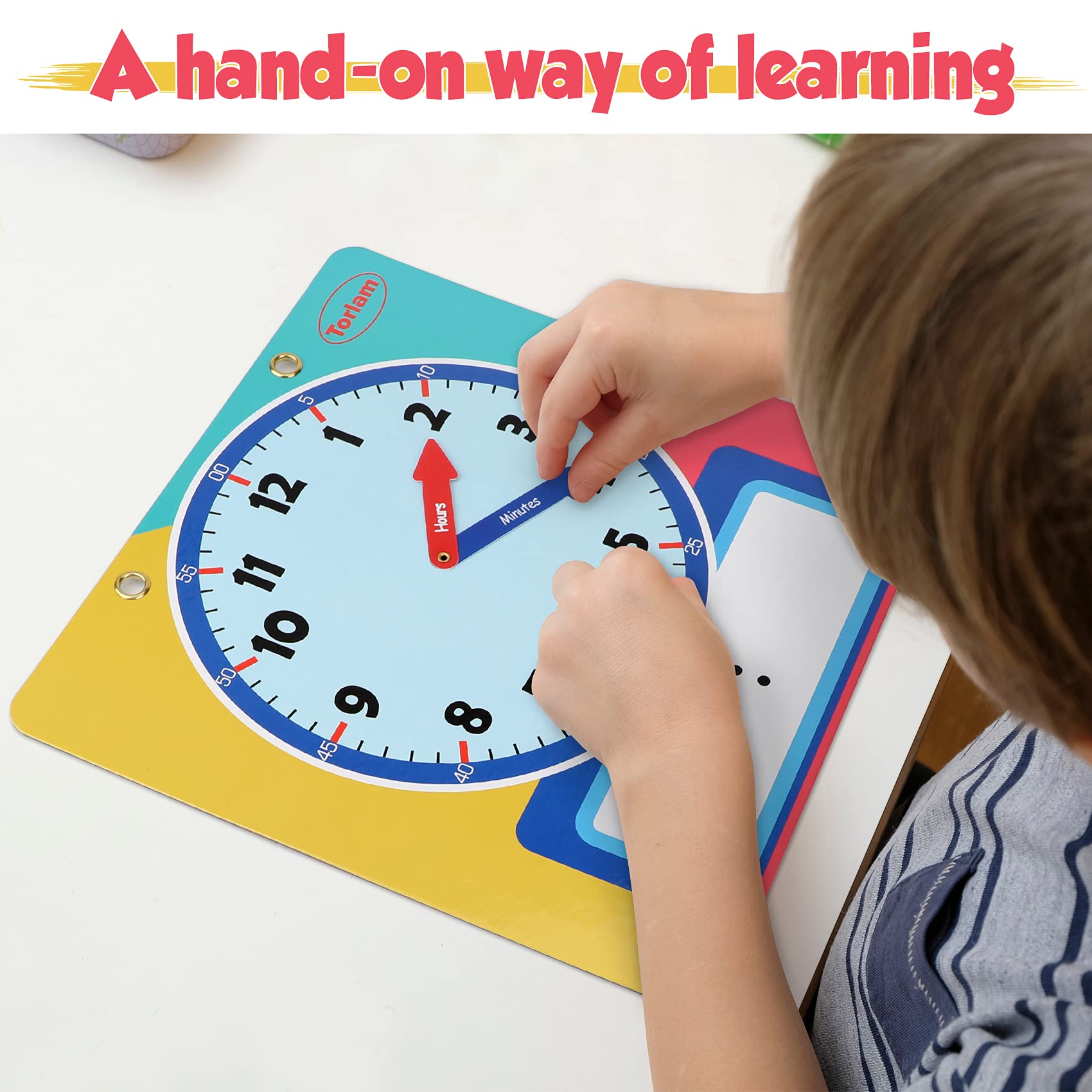 Torlam teaching clock shows movable hands for hands-on time setting.