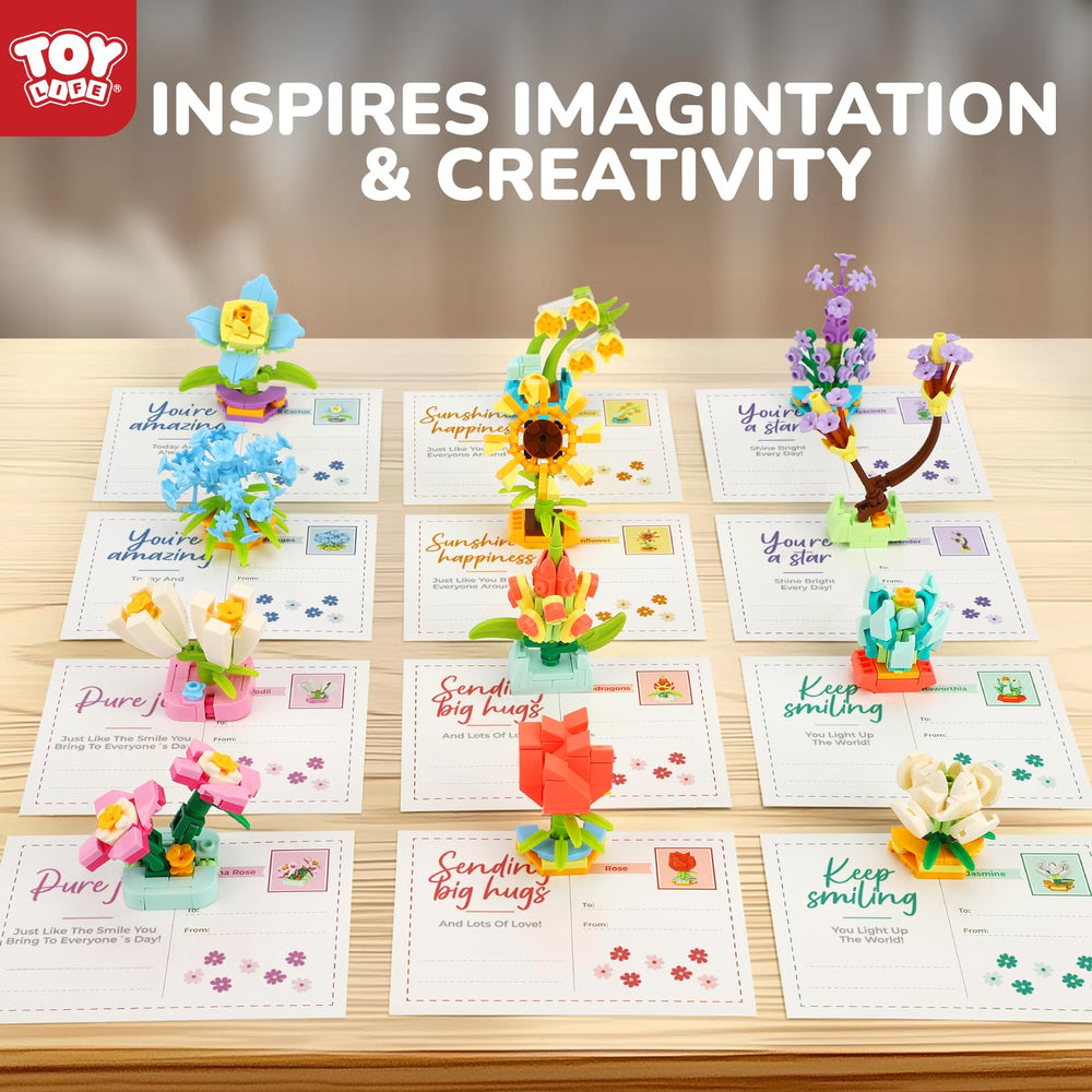 TOY Life classroom-prize packaging ideal for rewards and celebrations.