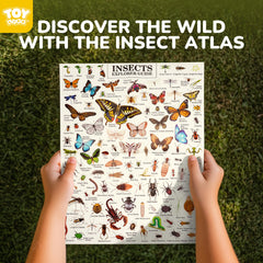 TOY Life Kids Explorer magnifying glass for detailed insect study.