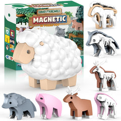 Toycost magnetic sheep being assembled to explore bone structure