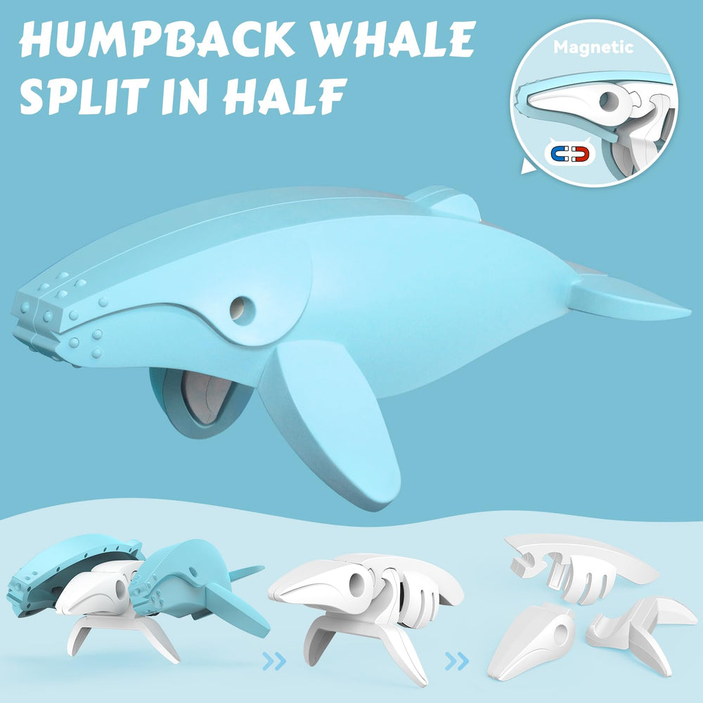 Toycost magnetic ocean cachalot features travel-friendly, easy-to-clean pieces.