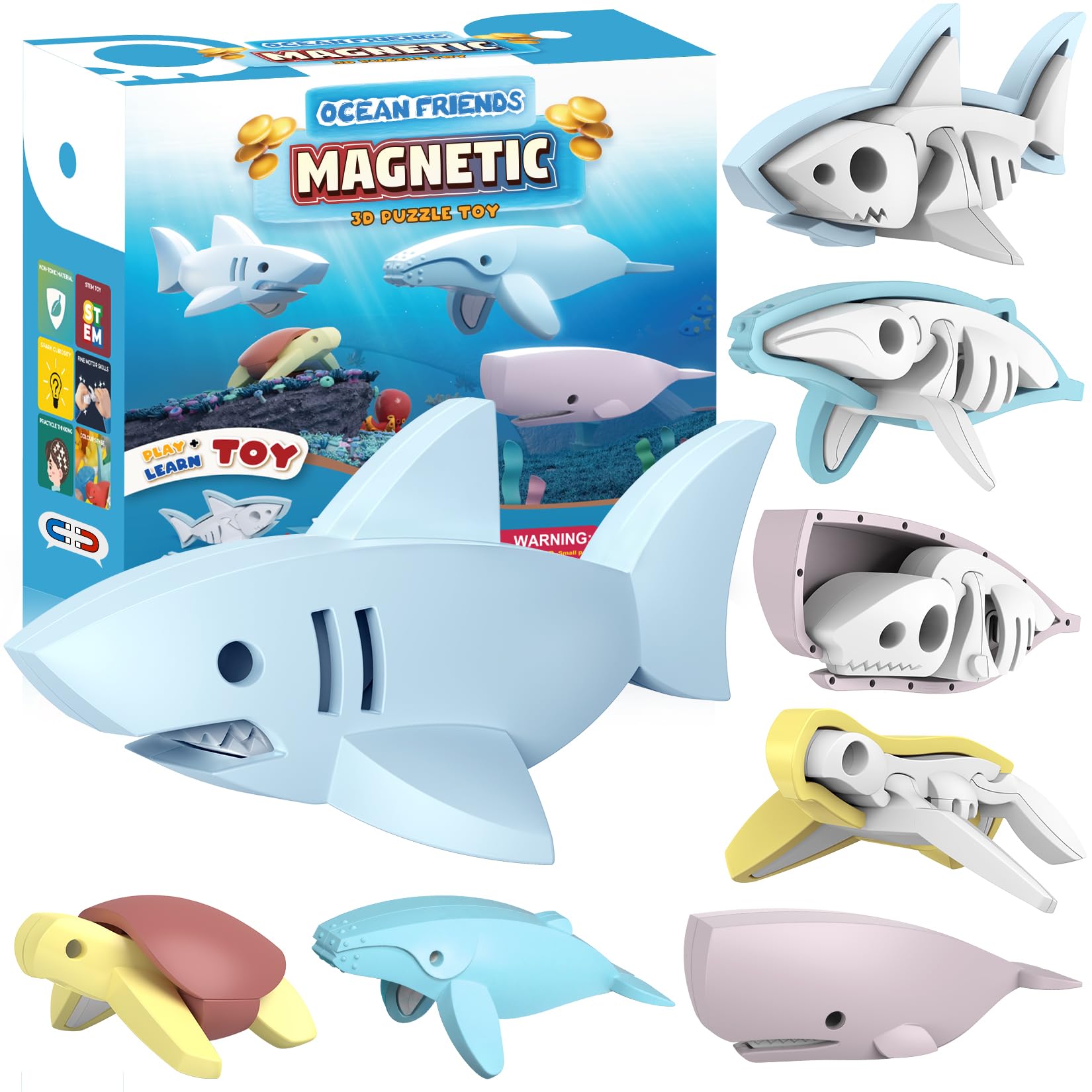 Toycost magnetic ocean turtle demonstrates split design for hands-on learning.