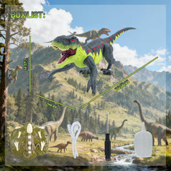 ToyFuntasy remote 2.4GHz connection enables multiplayer play.