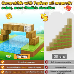 Toylogy blocks with rounded edges ensure safe hands during construction.