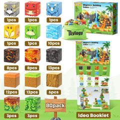 Toylogy stem learning magnet world insight promotes problem solving