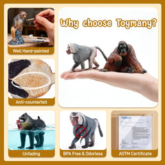 Toymany mandrill figurine supports creative storytelling and classroom displays.