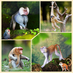Toymany proboscis monkey figure enhances storytelling and wildlife awareness.
