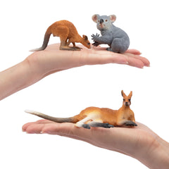 Toymany koala close-up emphasizing texture and color for classroom decor.