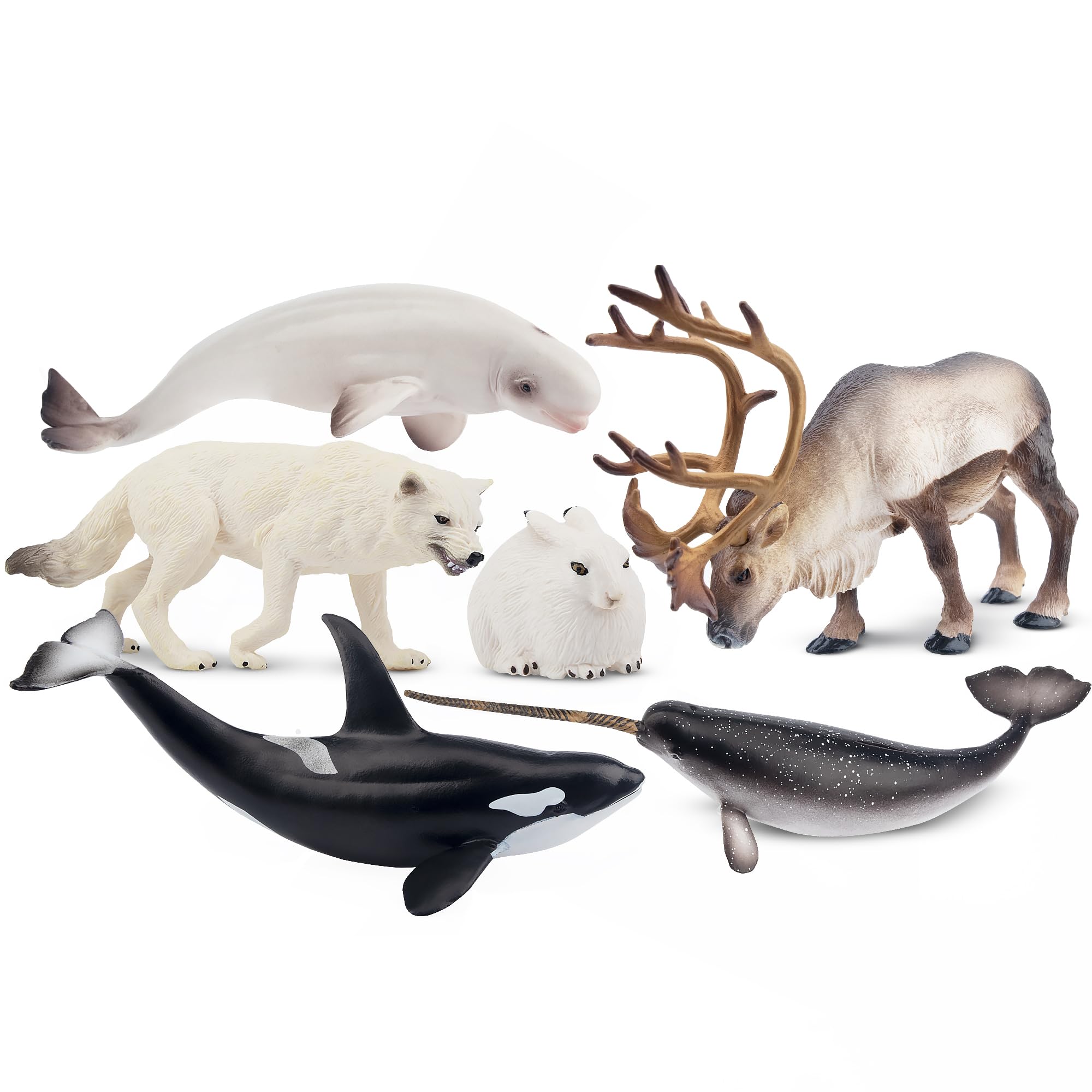 Toymany beluga whale figurine sparks curiosity and ocean-themed activities.