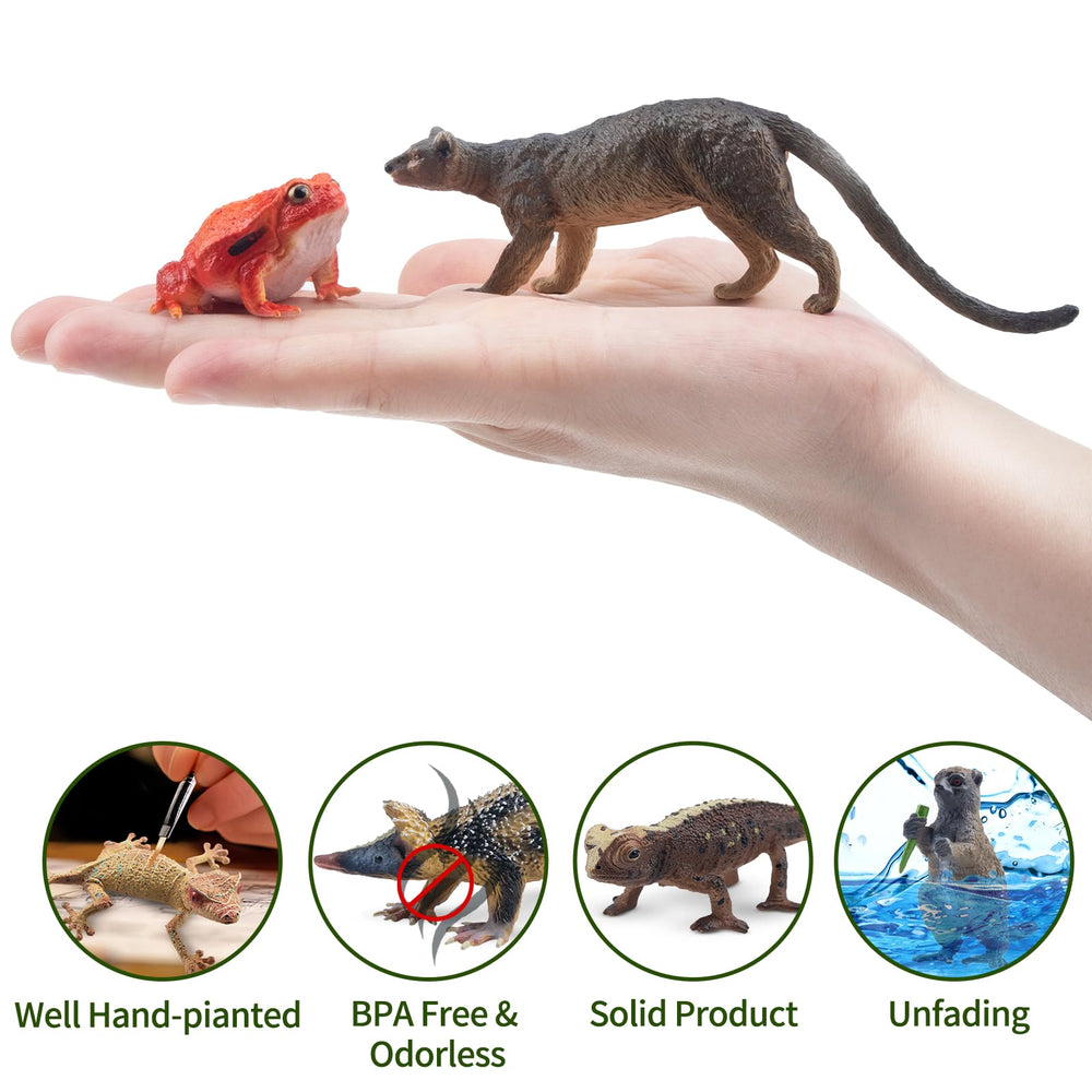 Toymany black-and-white ruffed lemur figure shines in classroom displays and storytelling.