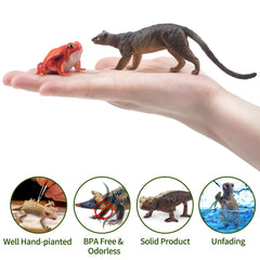 Toymany black-and-white ruffed lemur figure shines in classroom displays and storytelling.