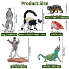 Toymany brookesia micra figure offers tiny realism for micro-habitats and educational play.