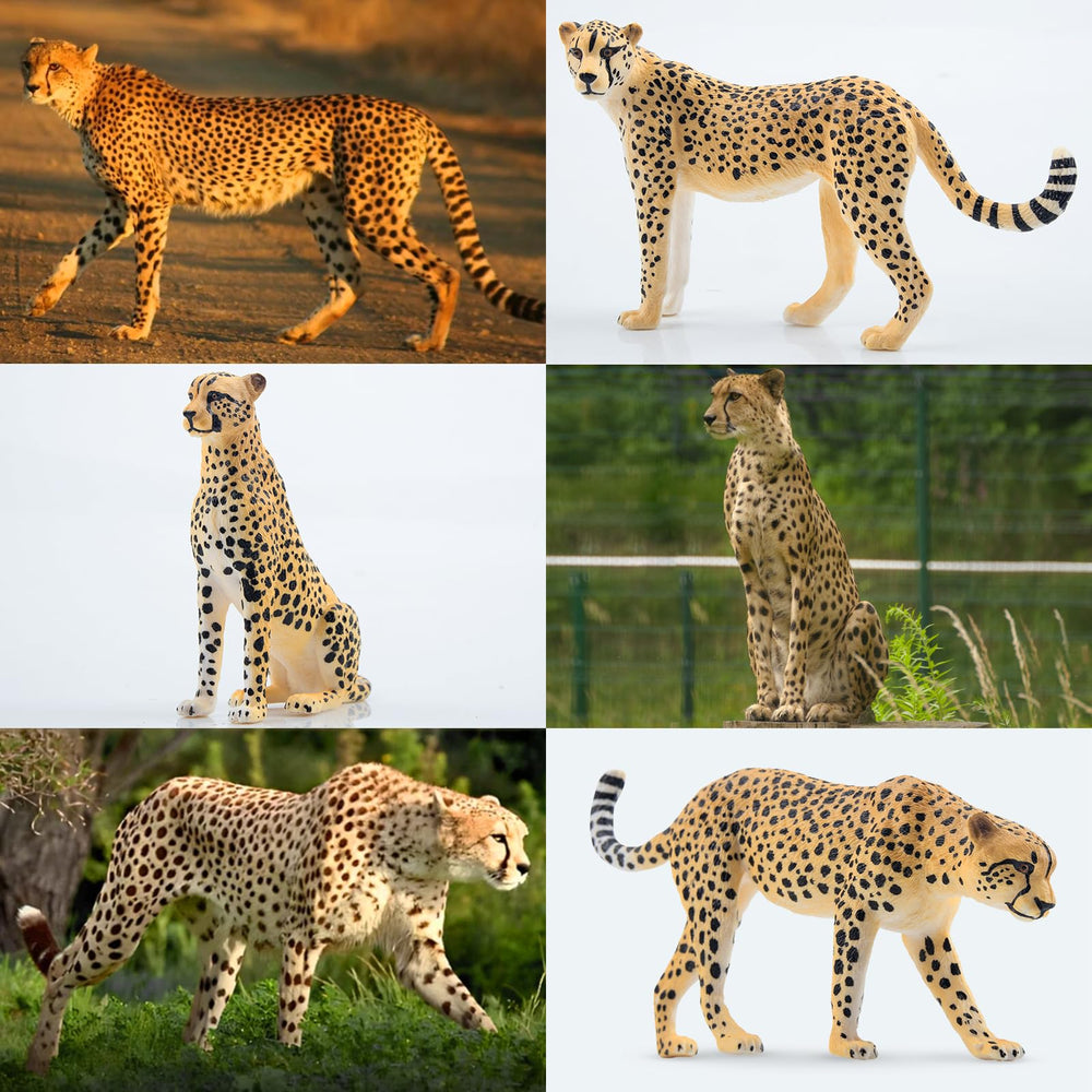 Toymany cheetah figurines stand upright for sturdy display.