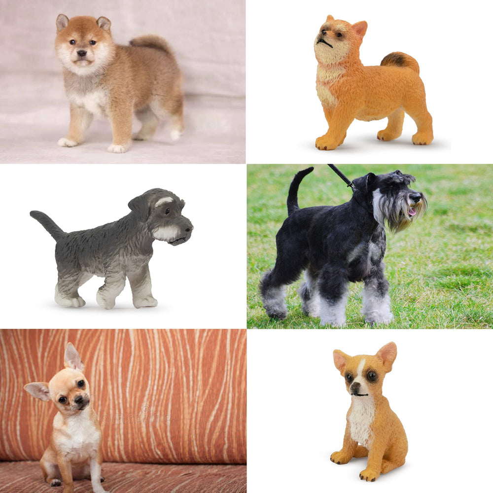 Toymany hand-painted dog figures close-up showcase artistry