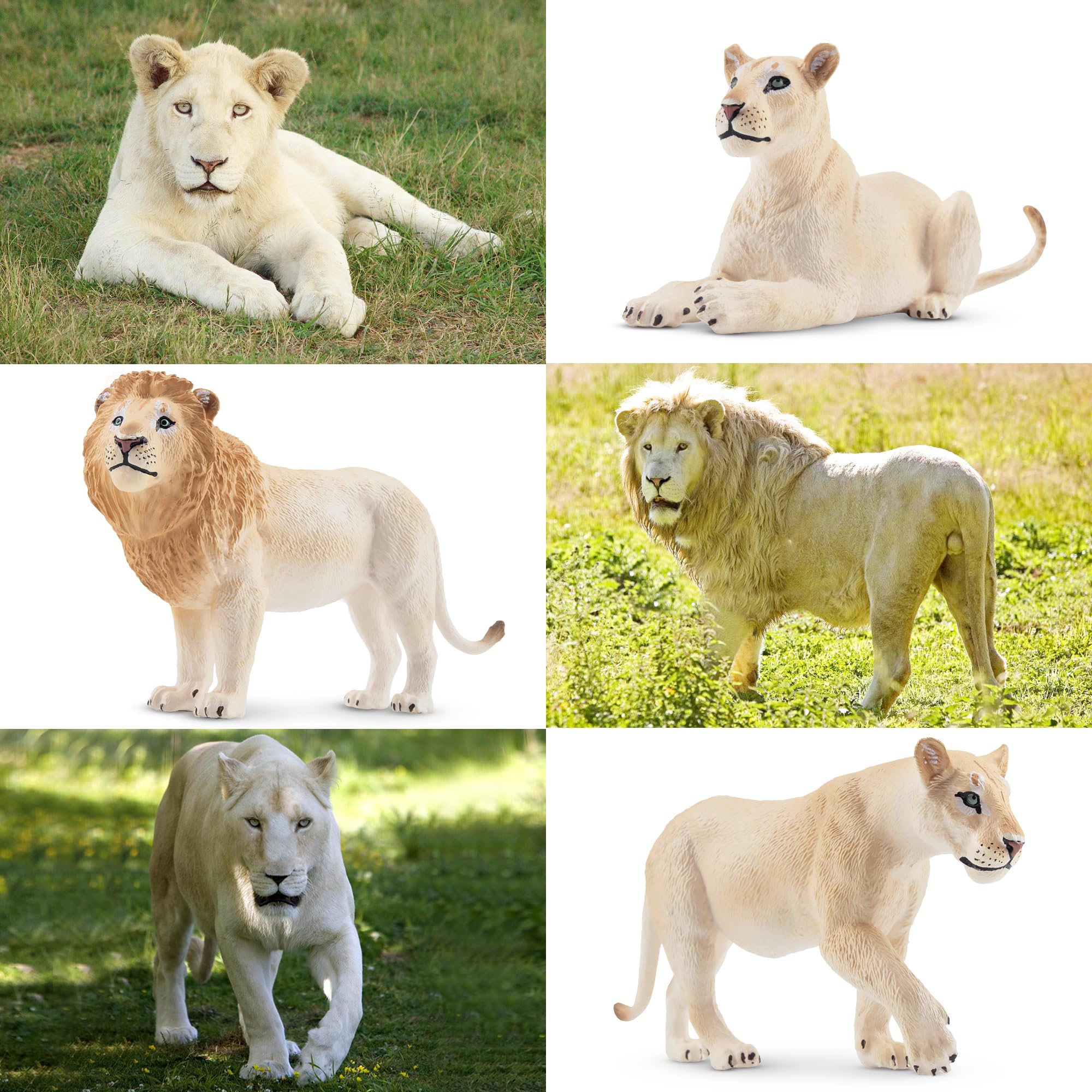 Toymany lion figures stand securely for stable playtime and shelf decor