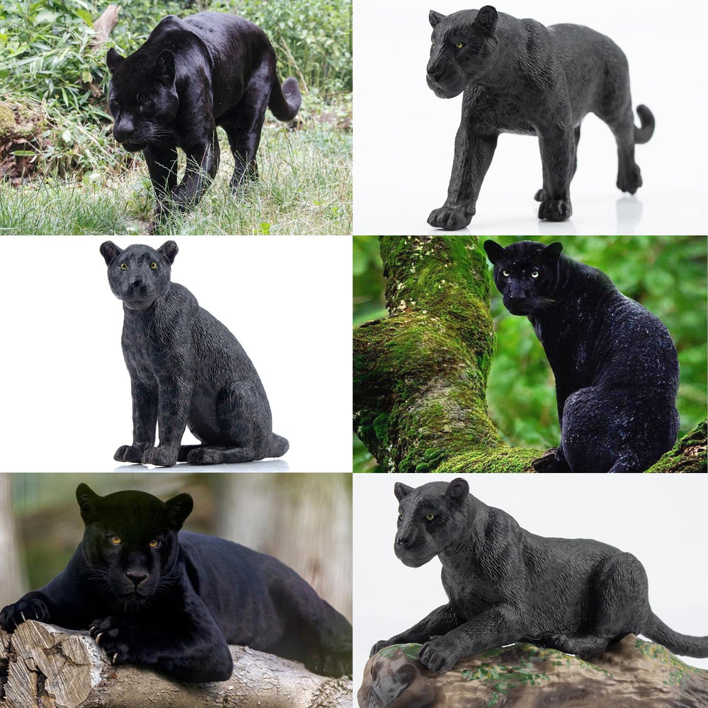 Toymany panther cake topper display adds playful jungle flair.