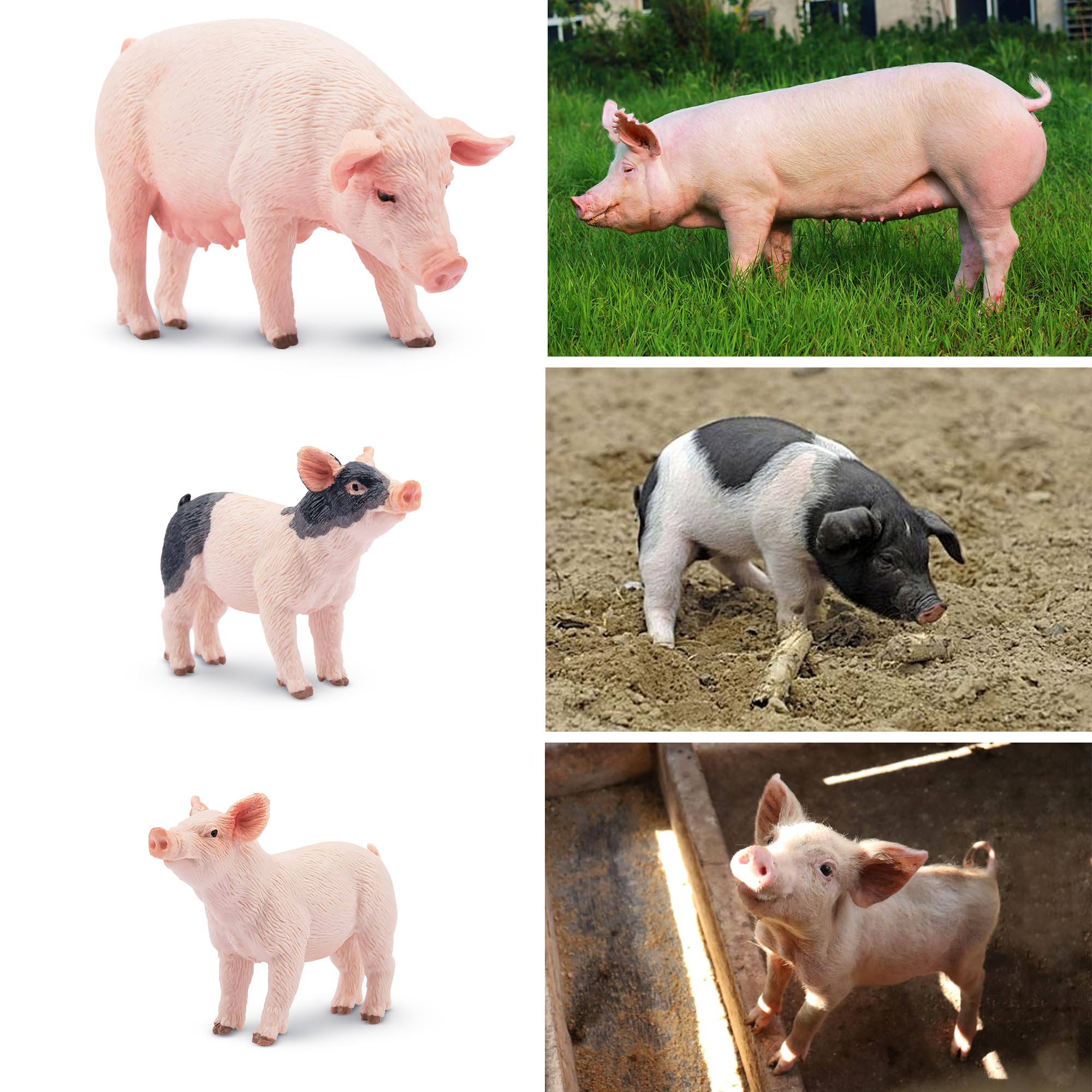 Toymany piglets and pigs figures with detailed finish for learning and exploration