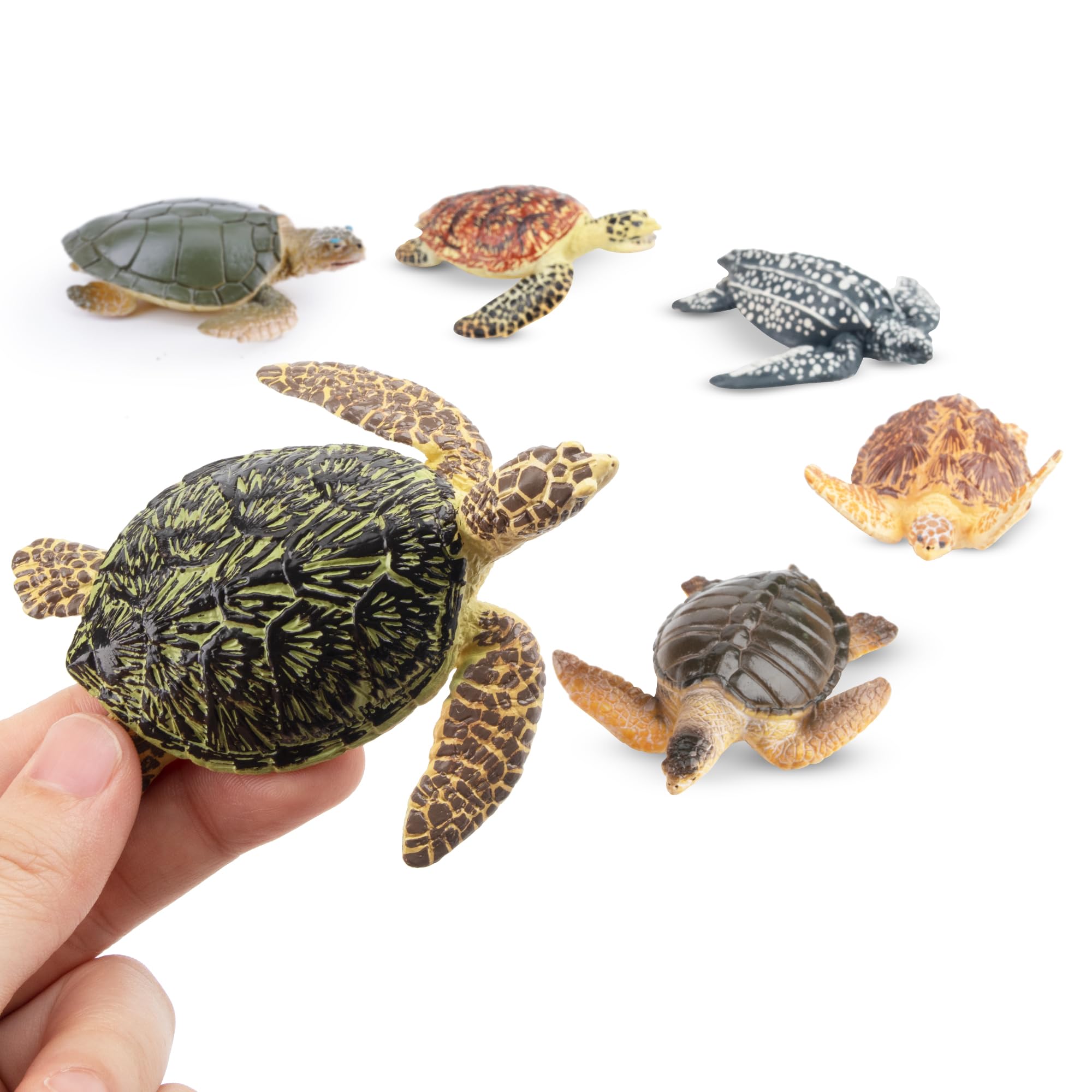 Toymany sea turtle figurine 2 bright colors suitable for cake toppers and decor