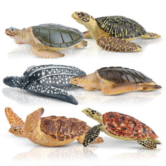 Toymany sea turtle figurine 9 complete turtle set for educational toy collections