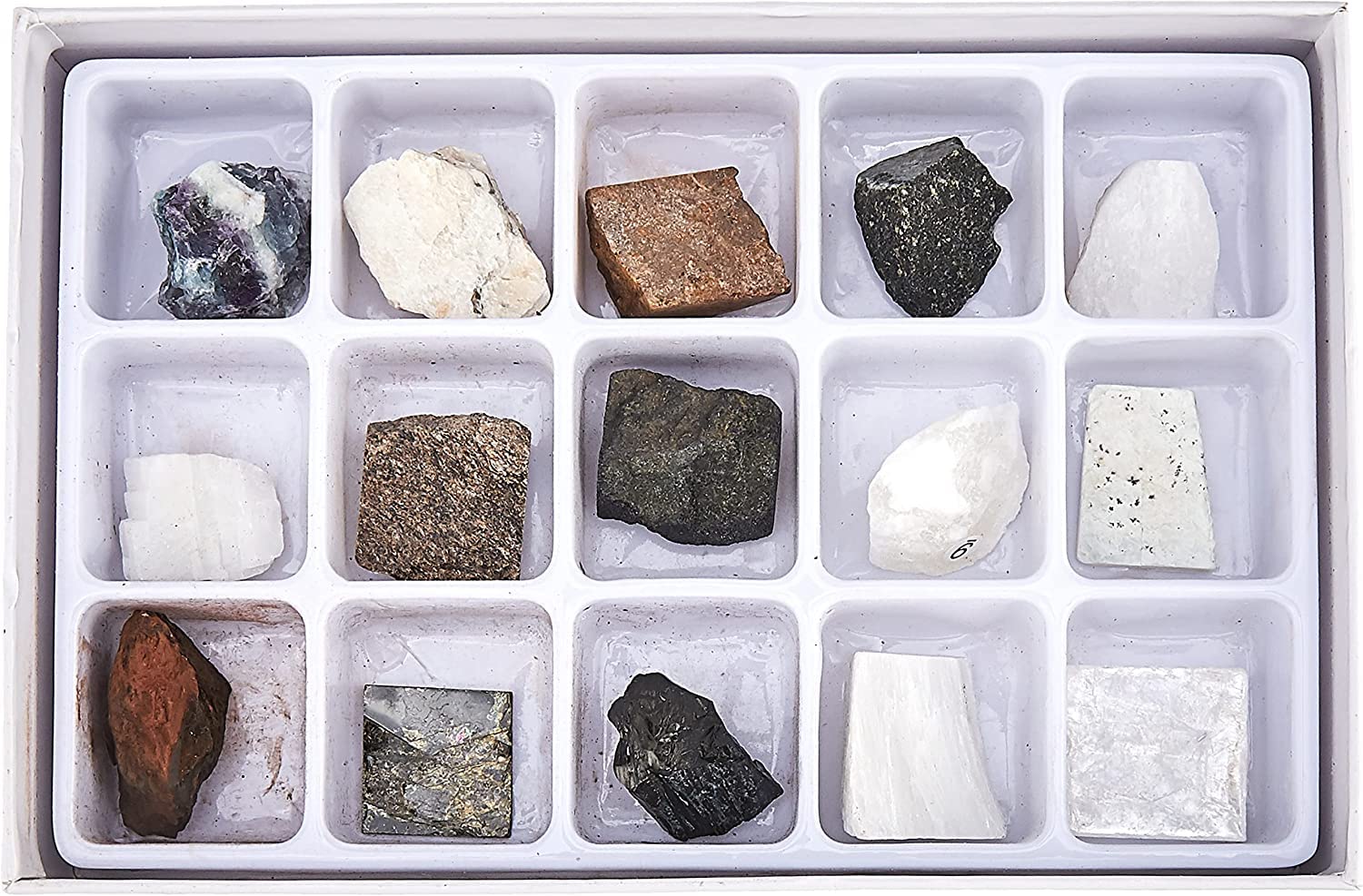 Toysmith mineral specimens display tray organized for sharing discoveries