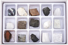 Toysmith mineral specimens display tray organized for sharing discoveries