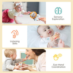 Toyssa flash cards with waterproof design for eye safe learning