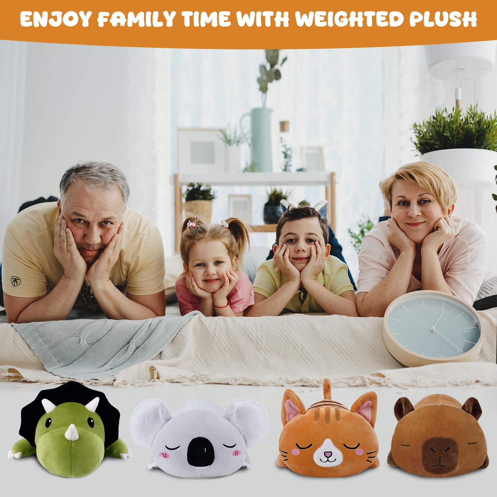 TOYSYM capybara weighted plush gift-ready packaging suitable for gifting