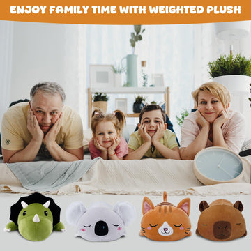 TOYSYM capybara weighted plush gift-ready packaging suitable for gifting
