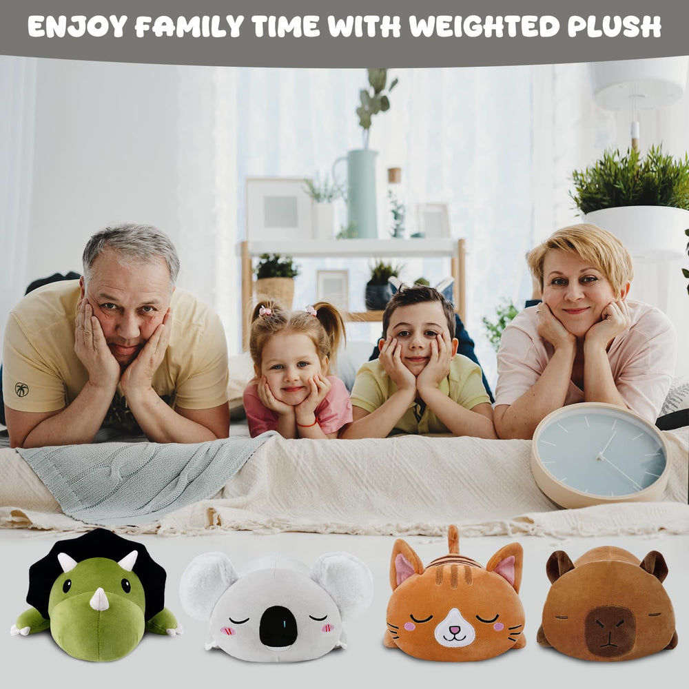TOYSYM Koala gift packaging-ready design makes a thoughtful present