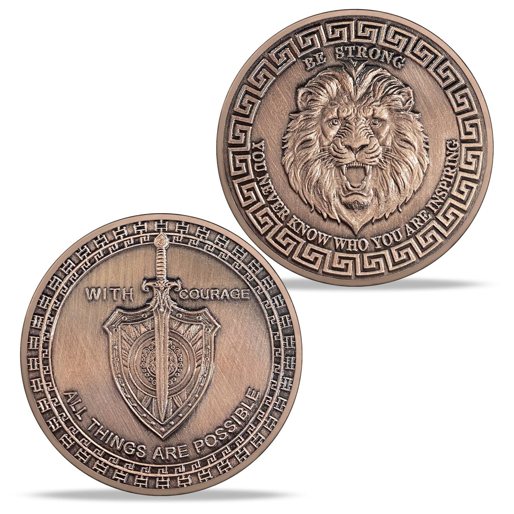TOYTOSMPL lion face close-up highlighting regal craftsmanship.