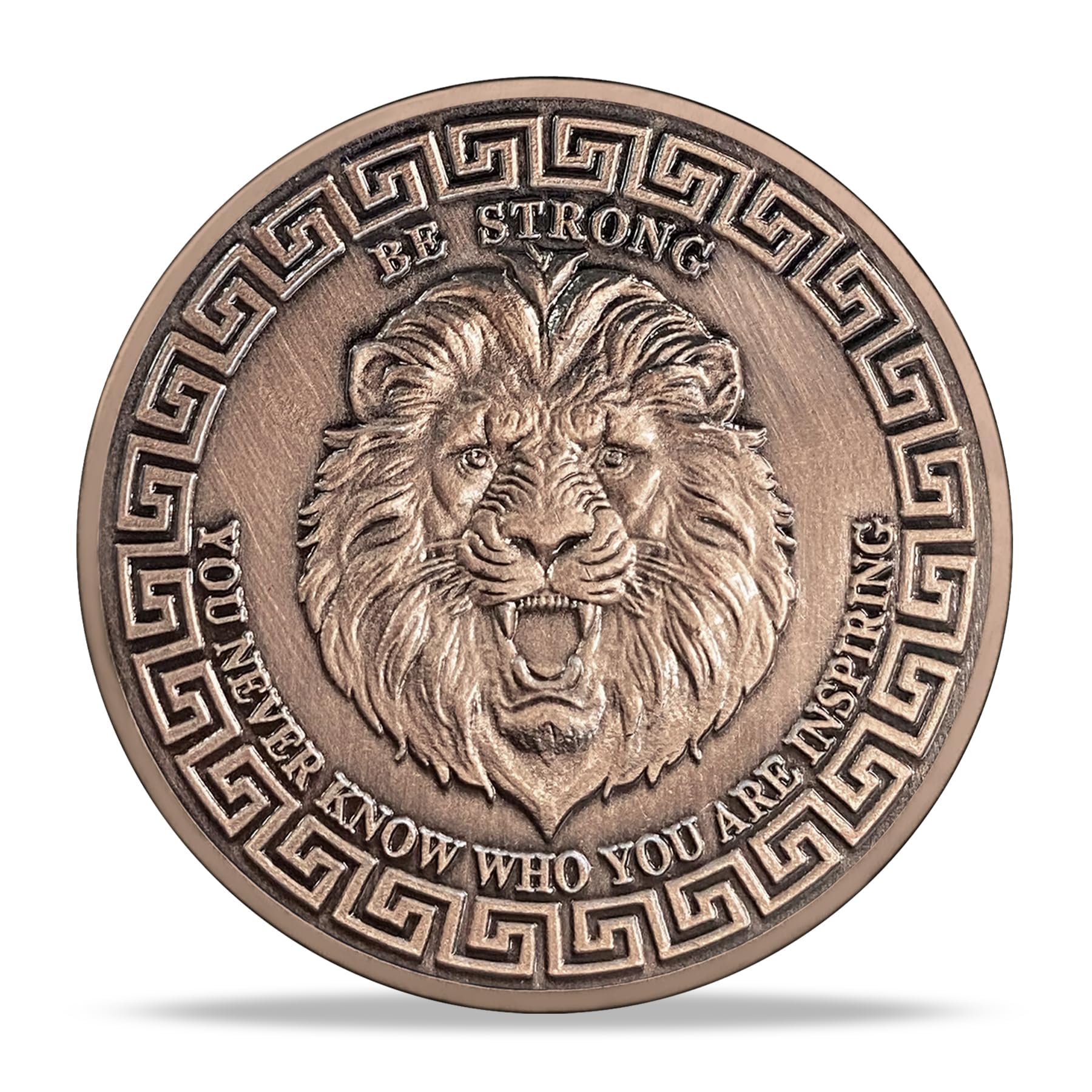 TOYTOSMPL lion sword front high-relief design, ideal for display and collection.