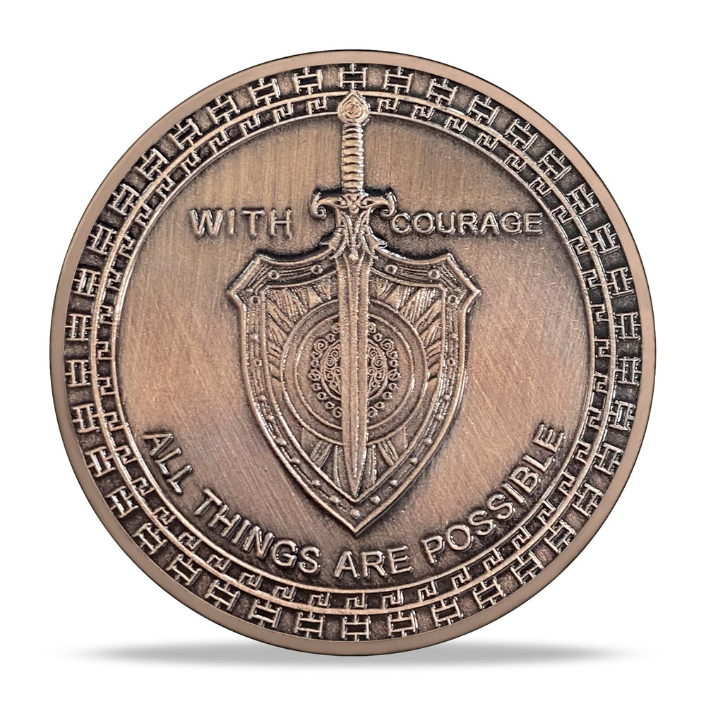 TOYTOSMPL lion sword reverse with shield details, perfect inspiration.
