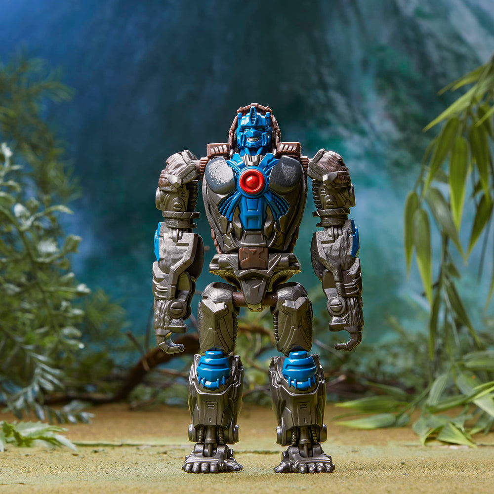 Transformers Beast Alliance 2-pack front view ideal for display and play.