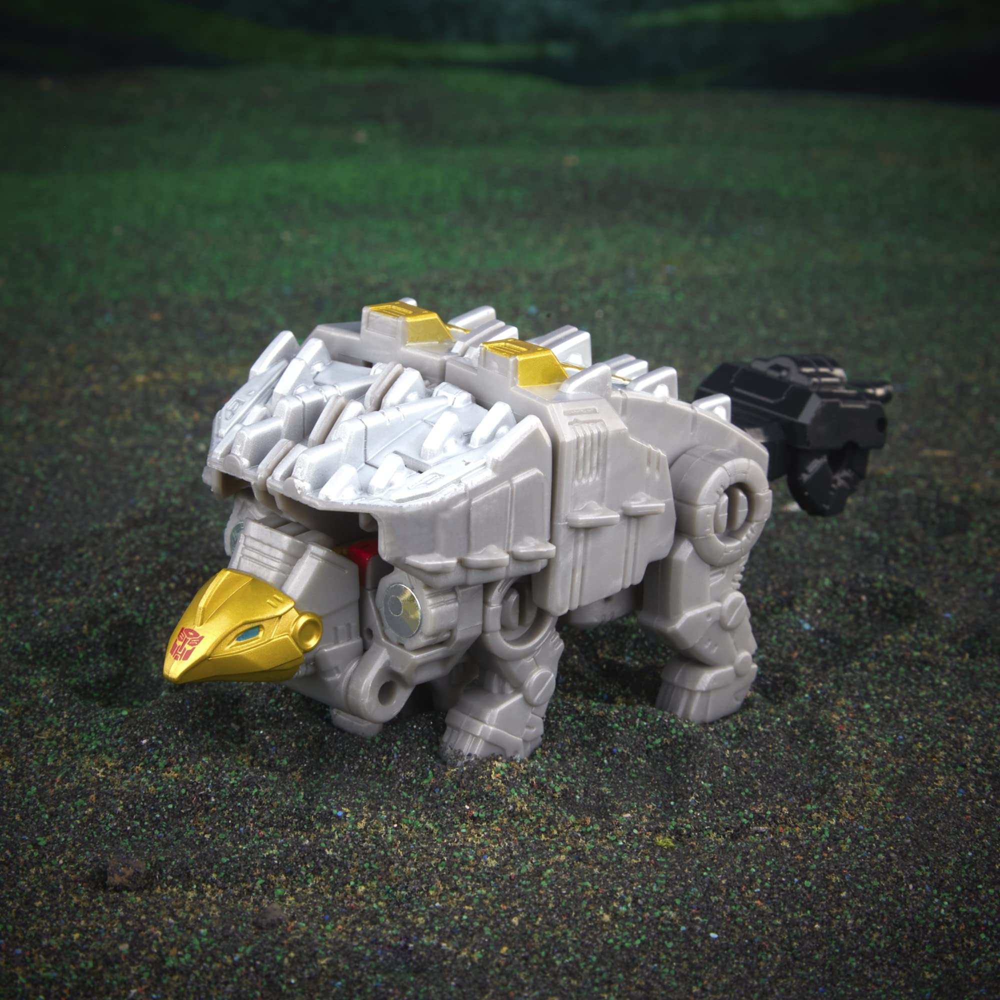 Volcanicus right arm form shows Scarr's integration