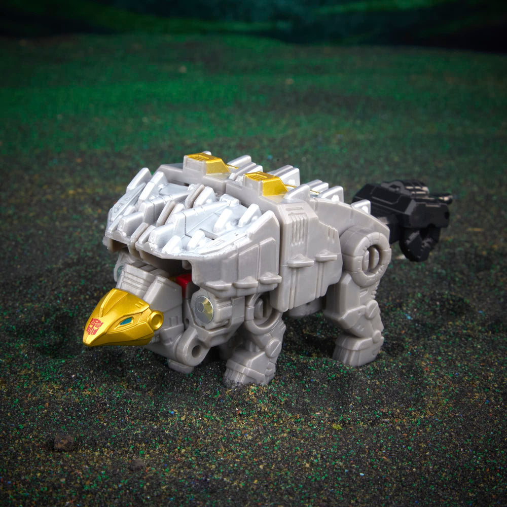 Volcanicus right arm form shows Scarr's integration