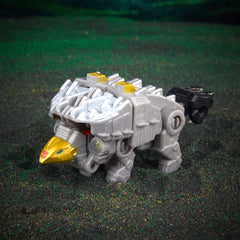 Volcanicus right arm form shows Scarr's integration