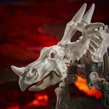 Destiny variants collection encouraged by Kingdom figures