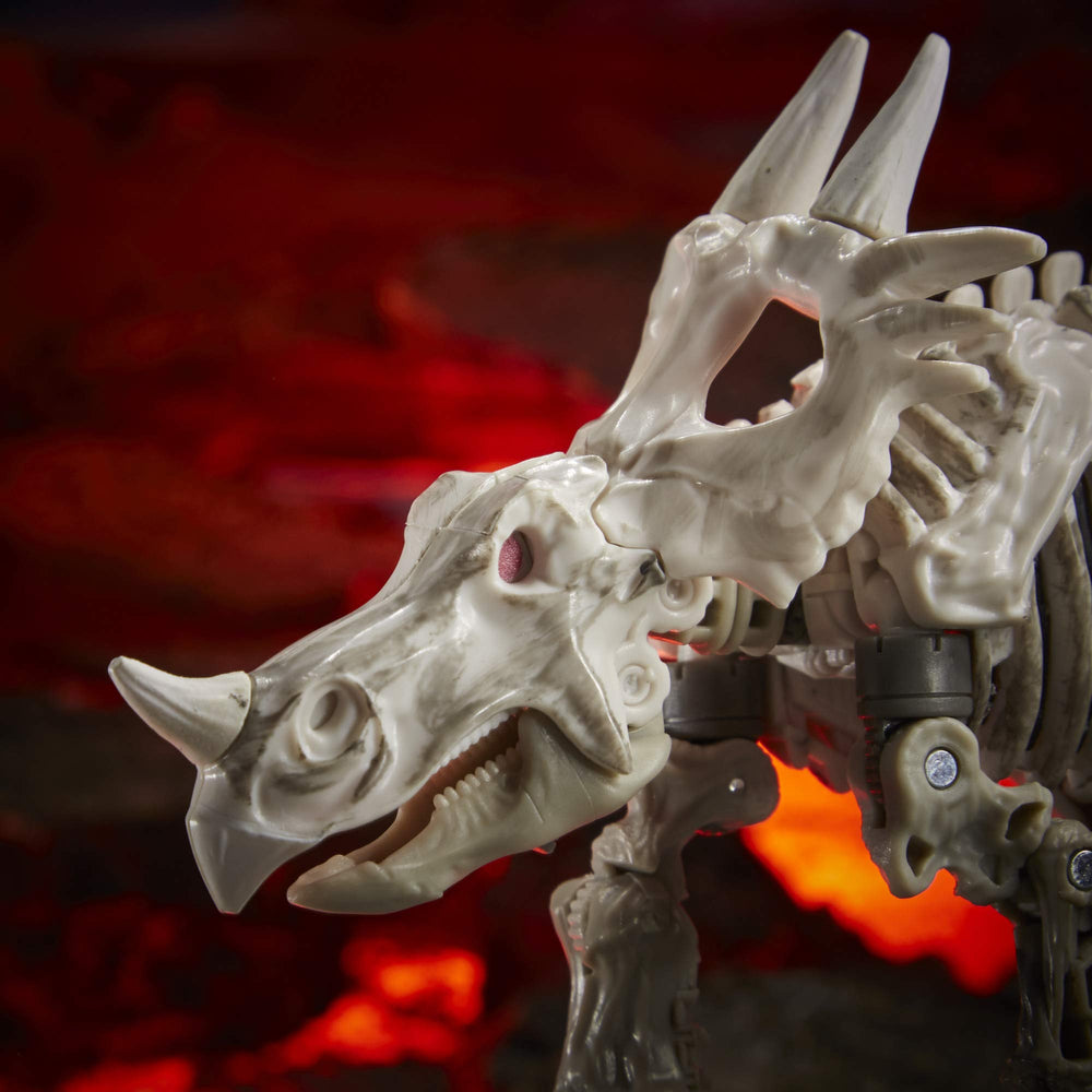 Destiny variants collection encouraged by Kingdom figures